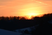 DSC_3509.jpg