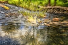 15A_9357_webshot.jpg