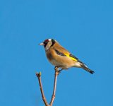 DSC_3986.jpg