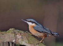 DSC_4144.jpg