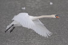 DSC_4845.jpg