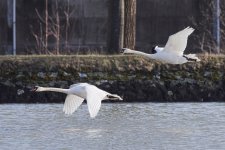 DSC_4769.jpg