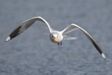 DSC_4789.jpg