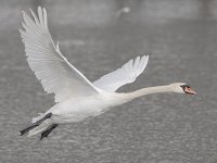 DSC_4844.jpg