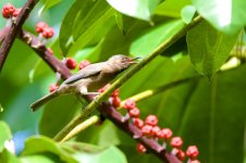 DSC_8826.jpg