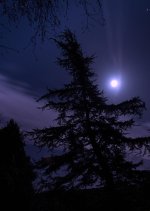 Silhouette-4.jpg