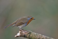 DSC_4491.jpg