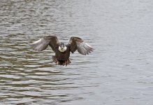 DSC_4608.jpg