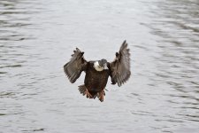 DSC_4610.jpg