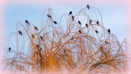 SUNDOWN-10.jpg