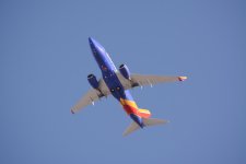 DSC_3586.jpg
