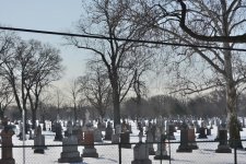 DSC_3592.jpg