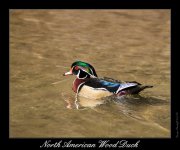 DSC_3207_Web.jpg