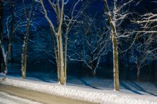 DSC_2286_150306_1024_001.jpg