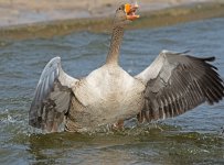 DSC_4700.jpg