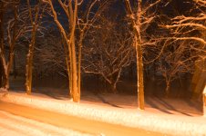 DSC_2286_150306_1024_001-2.jpg
