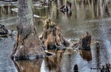 D71_3009_10_11_12_13_tonemapped.jpg