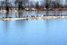 DSC_3624.jpg