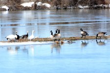DSC_3622.jpg