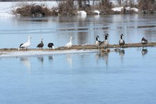 DSC_3630.jpg