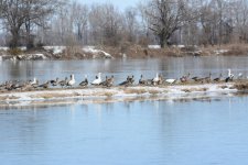 DSC_3639.jpg