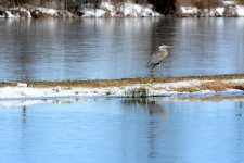 DSC_3651.jpg