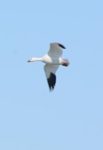 DSC_3673.jpg
