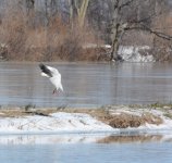 DSC_3687.jpg