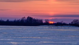 Day 65 of 365-2015-7839.jpg