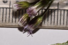 FSC_5148.jpg
