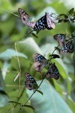 DSC_8890.jpg