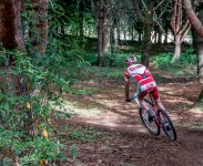Mountain bike 2-0595.jpg