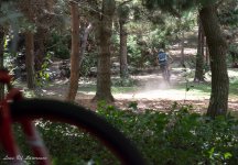 Mountain bike 5-0763.jpg
