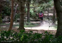 Mountain bike 6-0770.jpg