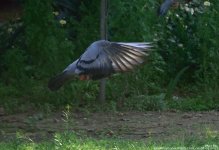 FSC_5117.jpg