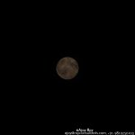 DSC_9842.jpg