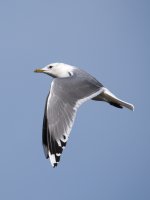 DSC_5163.jpg