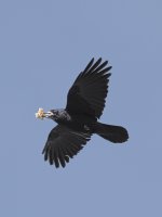 DSC_5249.jpg