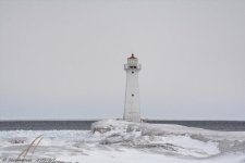 DSC_7698.jpg