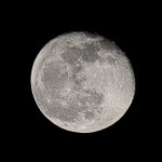 DSC_5322_e-2.jpg