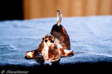 DSC_7859.jpg