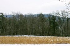 DSC_4472.jpg