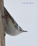 DSC_4448.jpg