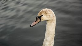 DSC_1023.jpg