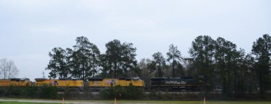 DSC_3746.jpg