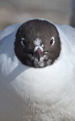 DSC_5474-3.jpg