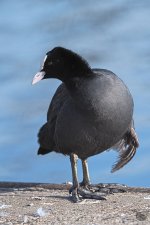 DSC_5446.jpg