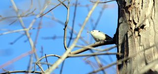 DSC_1416G.jpg