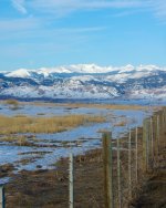 SnowScapes 308.jpg