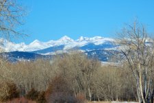SnowScapes 311.jpg